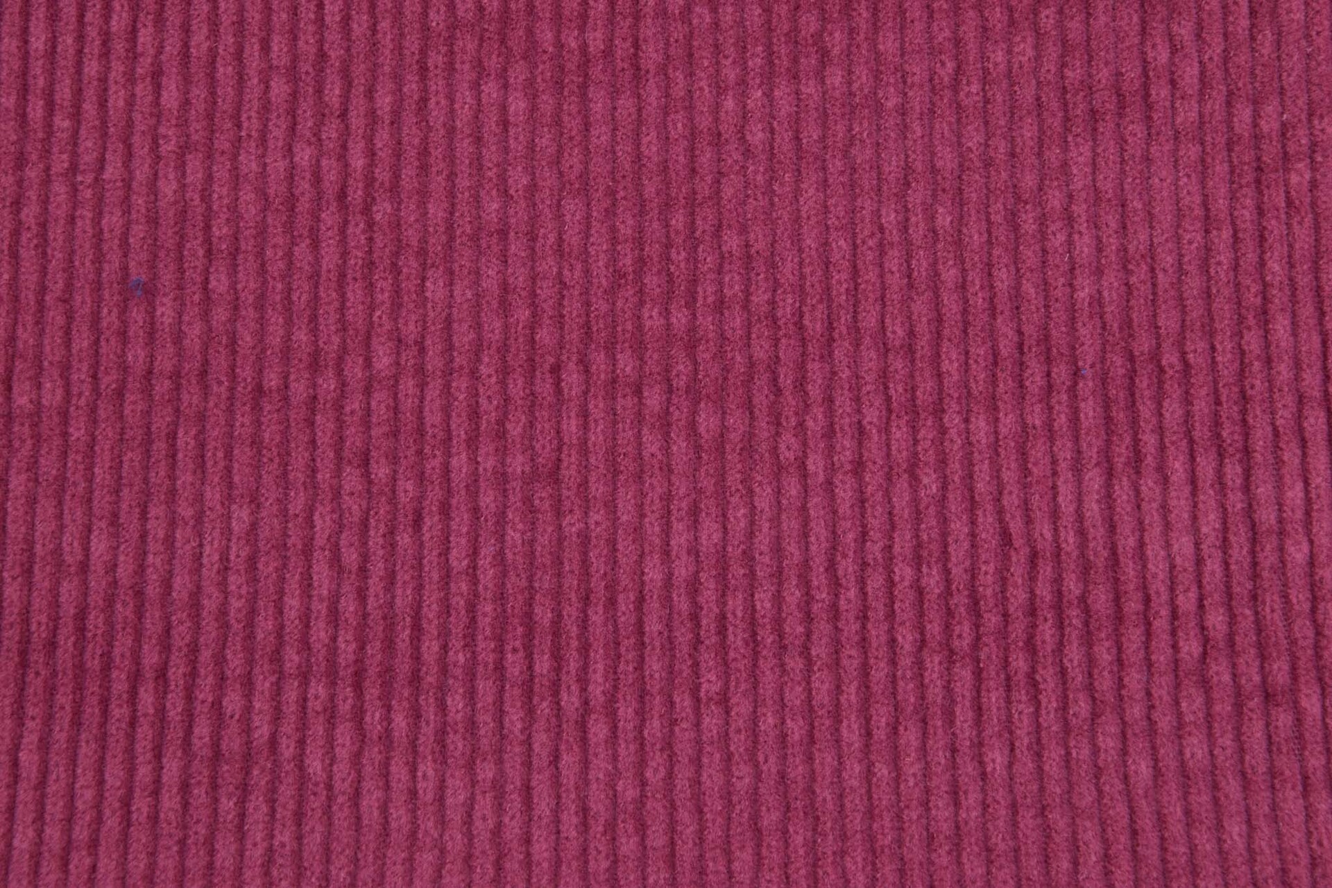 Breitcord Pflaume