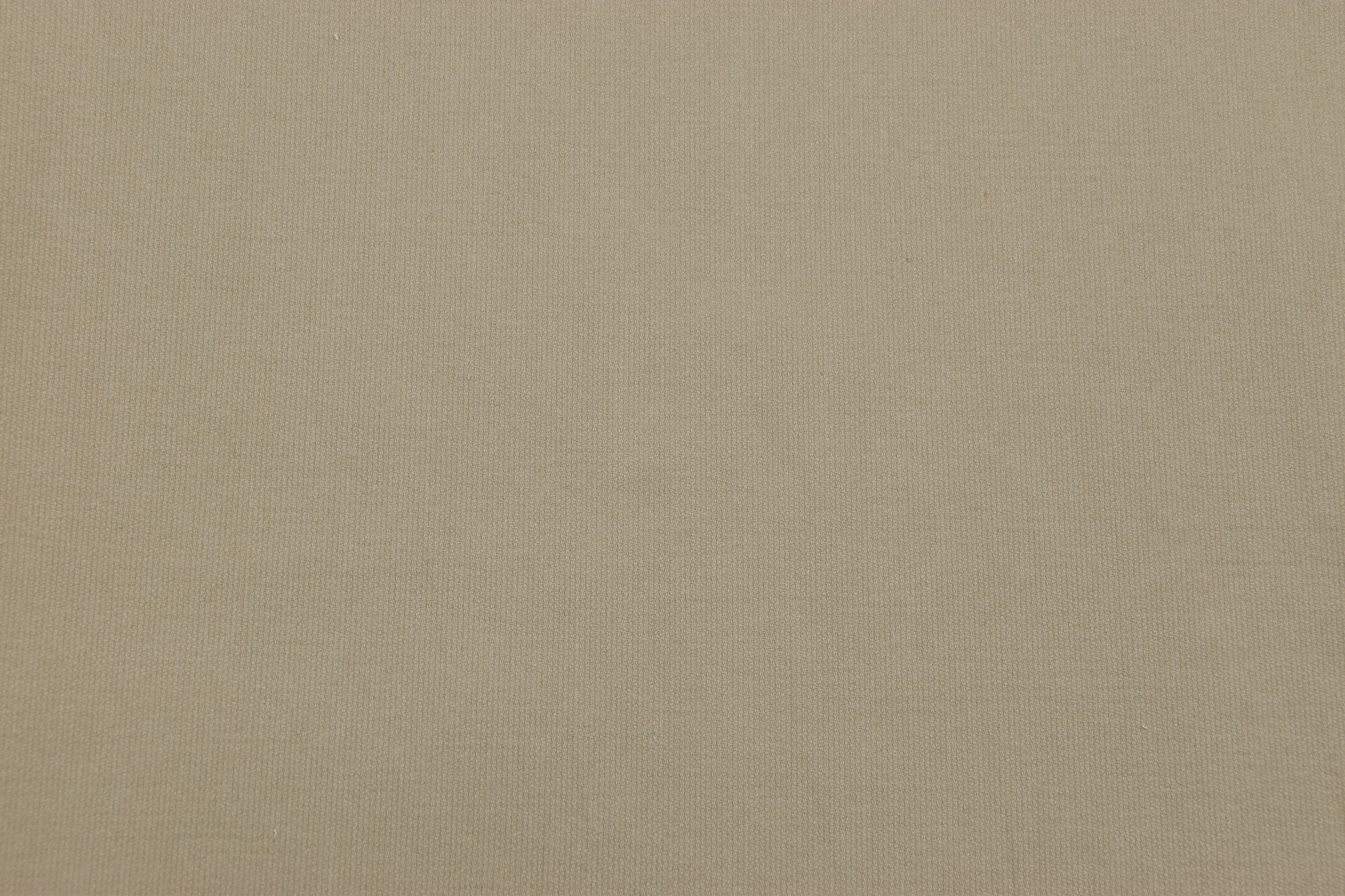 Baumwolle mit Lycra Beige Grün