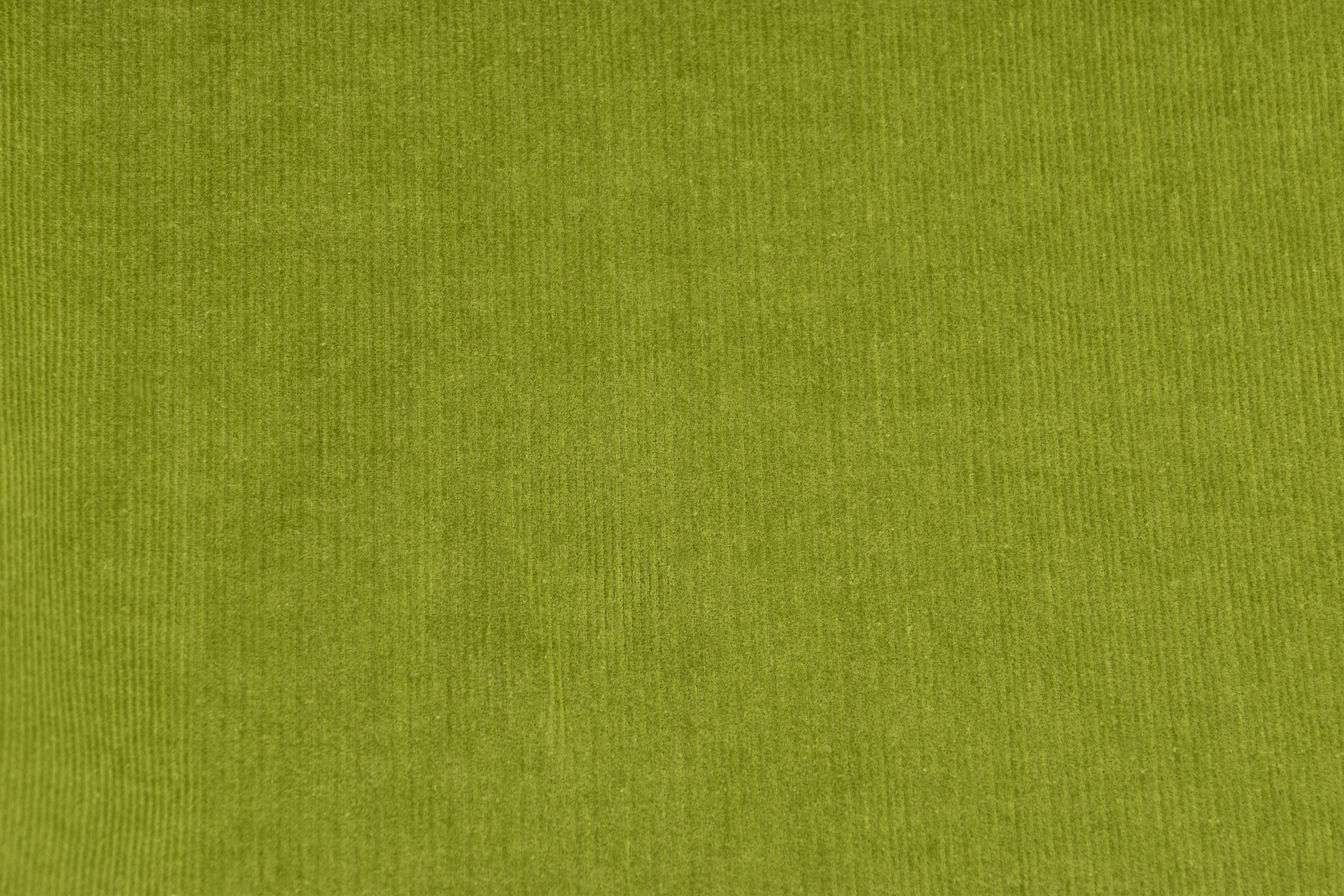 Feincord Grün