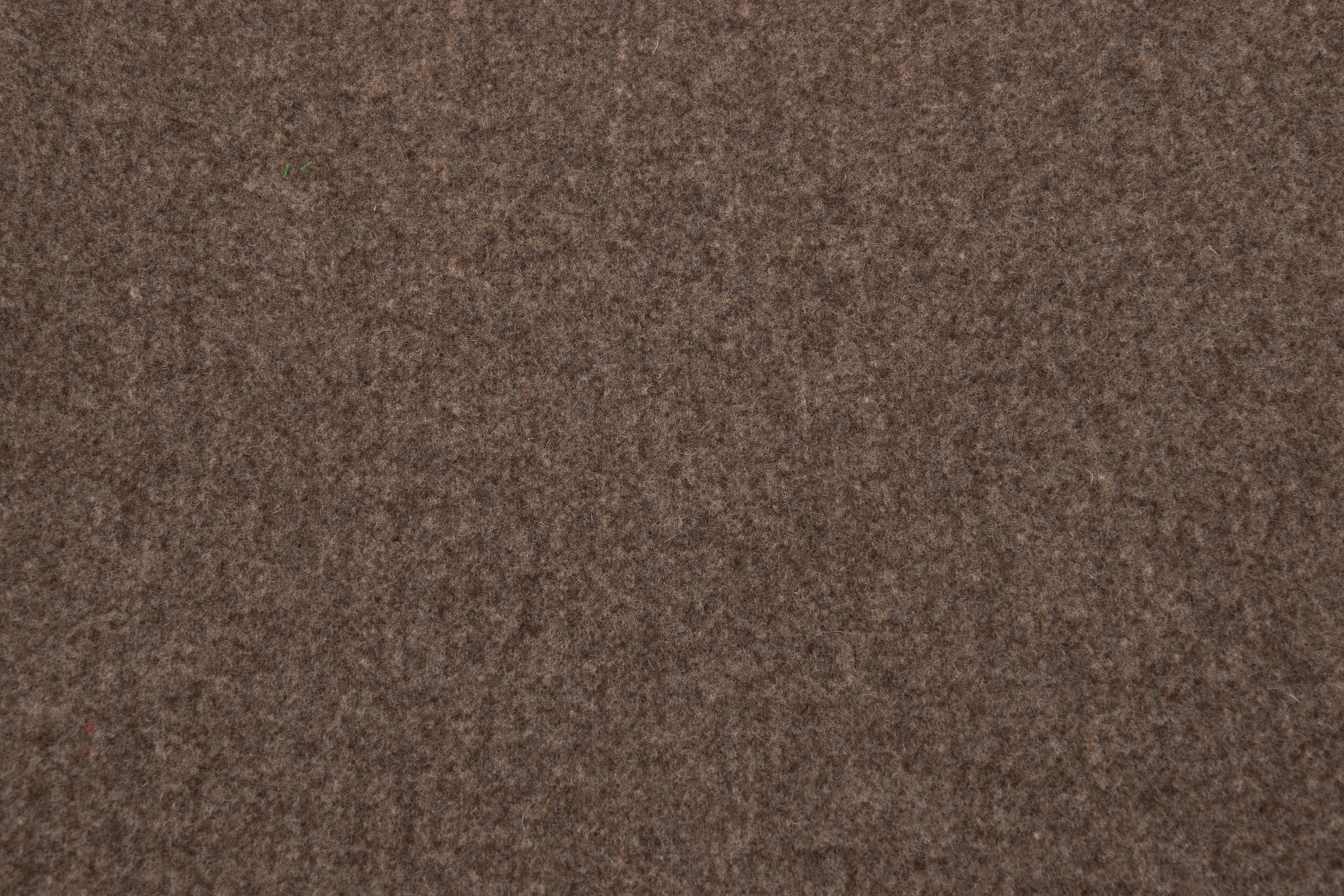 Tuchloden aus reiner Wolle Beige