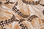 Polyesterprint  Chiffon