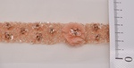 Borte apricot
