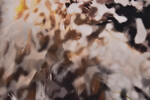 Polyesterprint