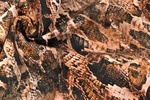 Baumwolle Snake braun gedreht
