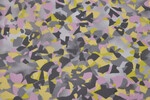 Polyesterprint