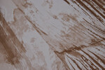 Polyesterprint