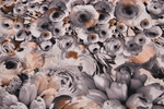 Polyesterprint