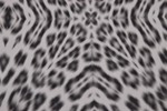 Polyesterprint