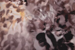Polyesterprint