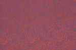 Taft Pailsley rot blau