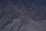 Polyesterprint