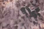 Polyesterprint Chiffon