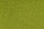 Feincord grün