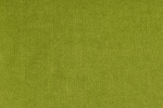 Feincord grün