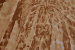 Polyesterprint