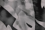 Polyesterprint