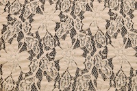 Spitze Beige mit Elasthan