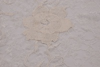 Spitze elfenbein