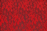 Spitze Weiß mit Elasthan