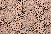 Spitze Helllachs mit Bogenkante