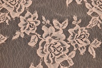 Spitze Beige mit Elasthan